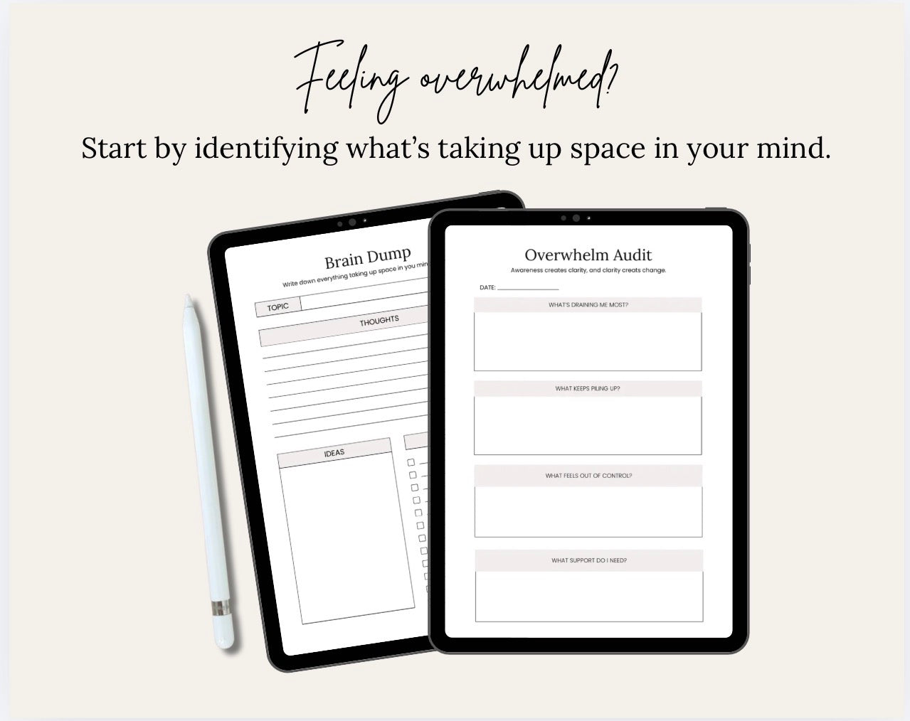 The Mental Load Manager